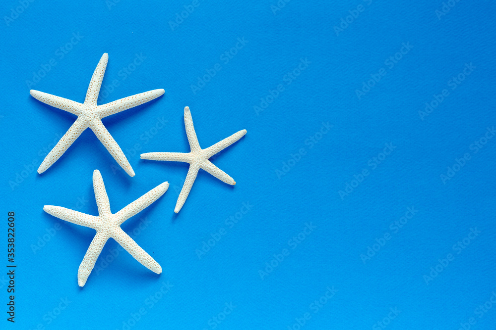 White Finger Starfish on blue background. Sea stars and shells. Sea, vacation, vacation mood. flat layout. space for text. top view. White Finger Starfish on blue background. Sea stars and shells. Sea, vacation, vacation mood. flat layout. space for text. top view.