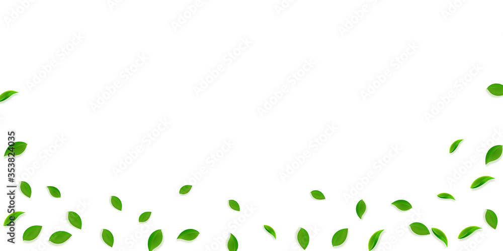 Falling green leaves. Fresh tea random leaves flyi Falling green leaves. Fresh tea random leaves flyi
