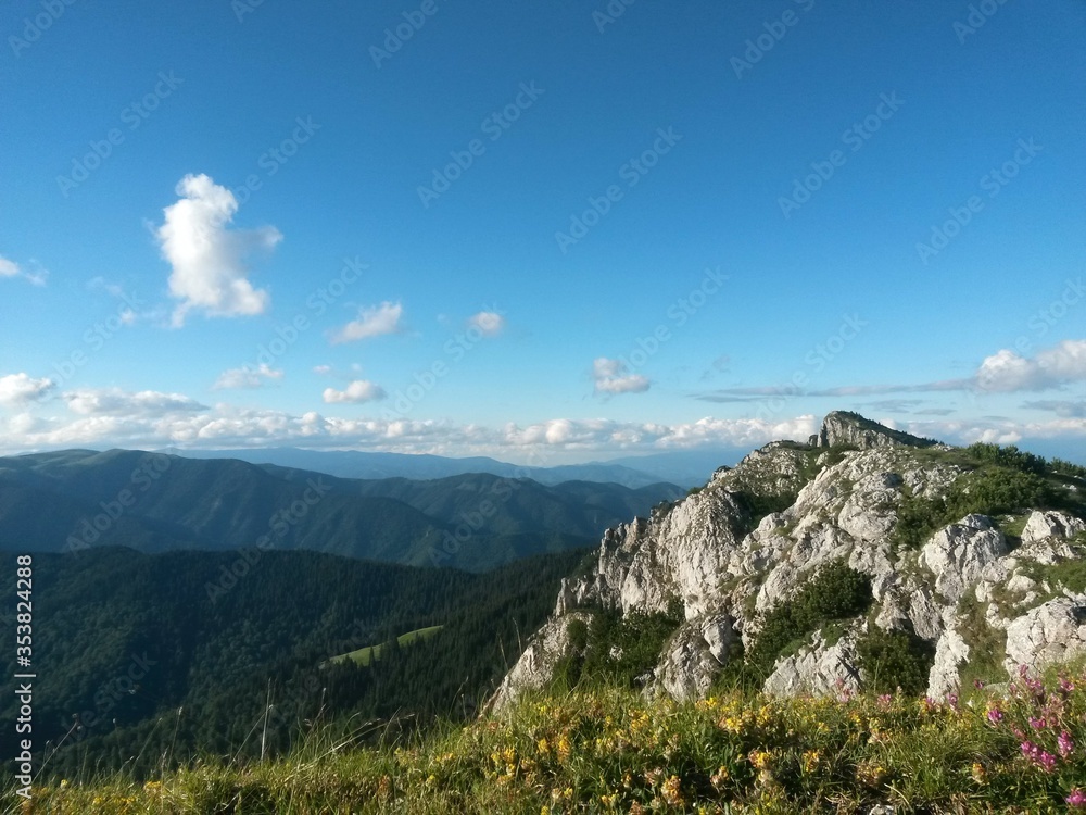 beautiful landscape seen from top of the green mountain in summer season. horizon line on sunny day with blue sky and fluffy clouds beautiful landscape seen from top of the green mountain in summer season. horizon line on sunny day with blue sky and fluffy clouds