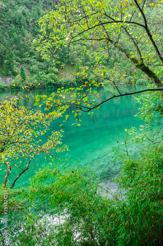 Beautiful and fresh scenery along the crystal clear lake with green algae  reflection and trees perfect for mind relaxing during holidays at Jiuzhaigou Valley National Park.