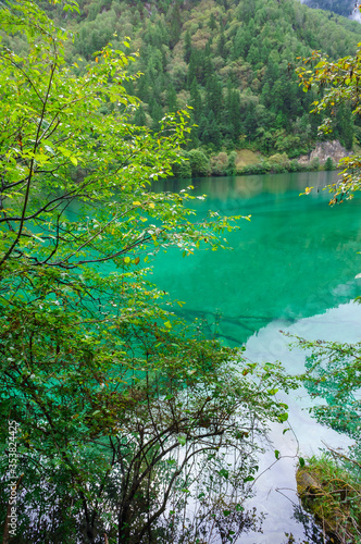 Beautiful and fresh scenery along the crystal clear lake with green algae  reflection and trees perfect for mind relaxing during holidays at Jiuzhaigou Valley National Park.