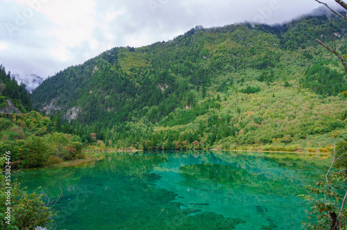 Beautiful and fresh scenery along the crystal clear lake with green algae, reflection and trees perfect for mind relaxing during holidays at Jiuzhaigou Valley National Park. © karlstury