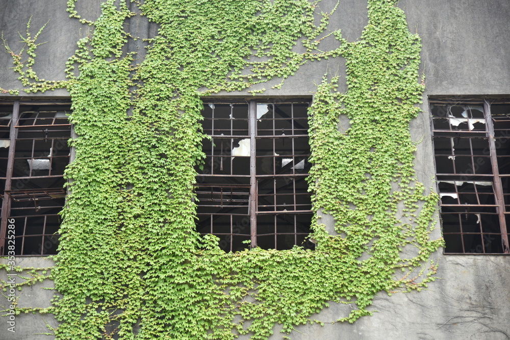 日本の広島県の大久野島の古くて美しい建物