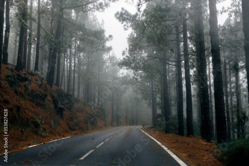 Road on a foggy and stormy morning in the mountains