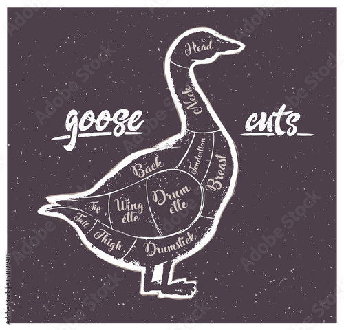 Graphic silhouette of a goose with the line of cutting for the butcher on a dark background.
