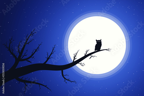 Night owl on tree branch and full moon, vector graphic, color image