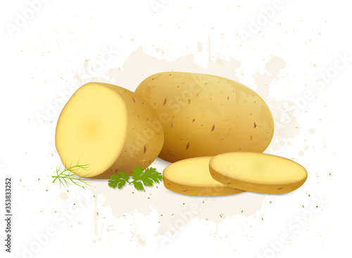 vector illustration of potato