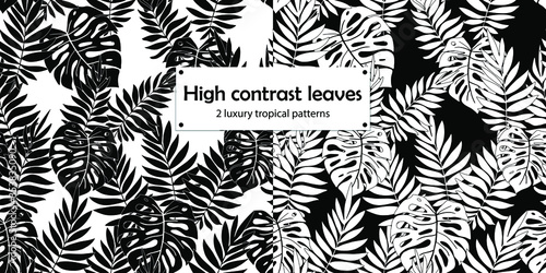 High contrast black and white tropical leaves on black and white background. Vector illustration seamless pattern set for eye-catching fashion fabric, wrapping paper of wallpaper design