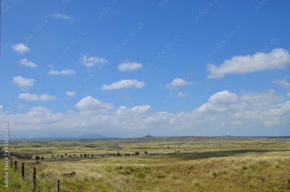 Idyllic landscape with green paddock, clouds and blue sky on Big Island, Hawaii, USA
