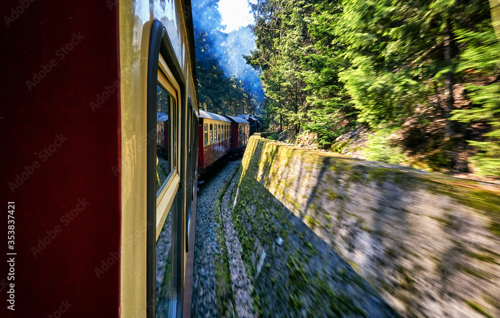 Fototapeta premium Steam locomotive drives through a curve in the forest. Dynamics through motion blur.