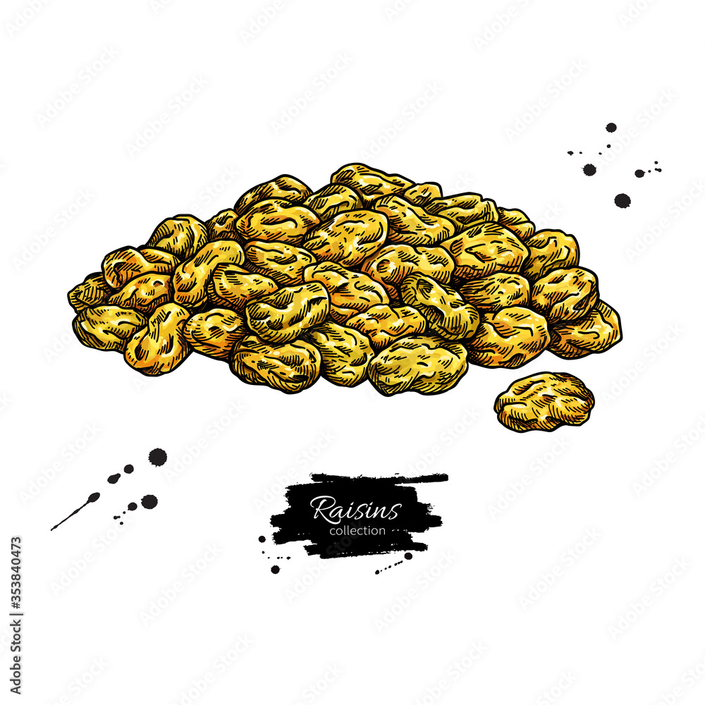 Raisins vector drawing. Dried grape heap. Hand drawn dehydrated fruit