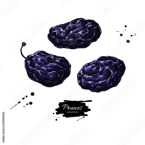 Dried plum set. Prune vector drawing. Hand drawn dehydrated fruit illustration.