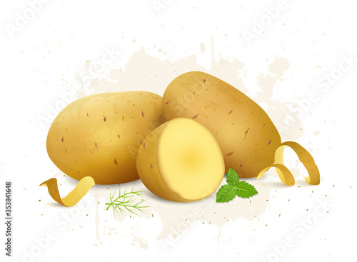 set of two potato vector illustration 