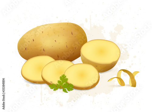 potato and potato pieces vector illustration