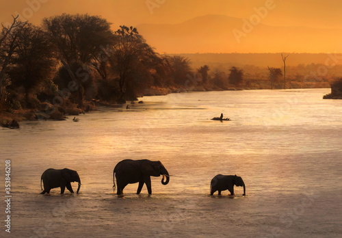 elephants in the sunset