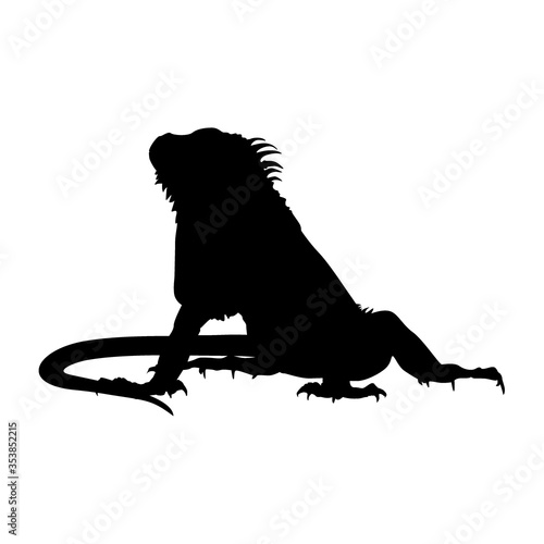 iguana vector illustration