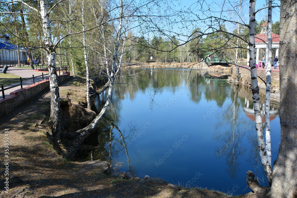 spring landscape