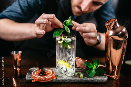 Professional barman preparing mojito cocktail at bar photo