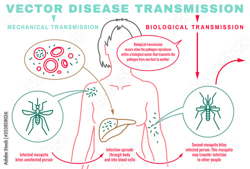 Infectious disease transmission