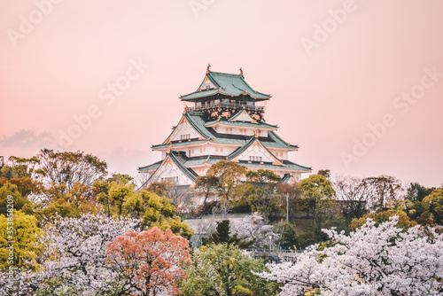 Osaka Castle at sunset, beautiful Japanese temple cherry blossom trees, sakura season, autumn Japan.