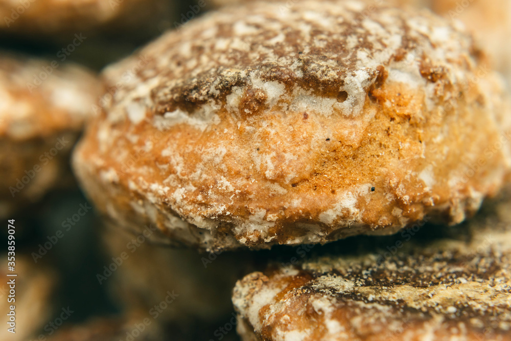 close up of a lot of gingerbread close up of a lot of gingerbread