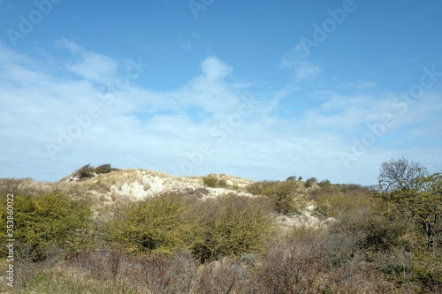 Dunes in nature reserve Meijendel in Wassenaar in the Netherlands.