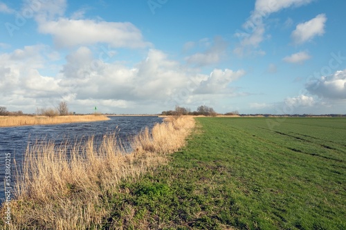 Fototapeta Naklejka Na Ścianę i Meble -  Pasture in the Brekkenpolder by Lemmer in Friesland, Netherlands.