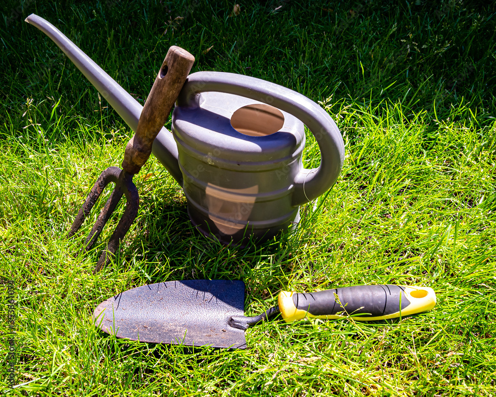 Fototapeta premium gardening tools on grass