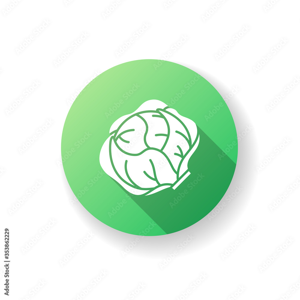 Lettuce green flat design long shadow glyph icon. Fresh vegetable. Appetizer from menu. Whole veggie for cooking recipe. Natural product. Vegan salad ingredient. Silhouette RGB color illustration Lettuce green flat design long shadow glyph icon. Fresh vegetable. Appetizer from menu. Whole veggie for cooking recipe. Natural product. Vegan salad ingredient. Silhouette RGB color illustration