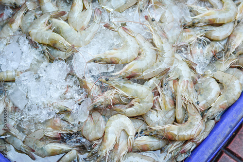 Fresh white shrimp with cold ice placed for sale in seafood market, Background top view fresh white shrimp, Closeup Fresh Sea Food, Fresh shrimp in the street market in Thailand