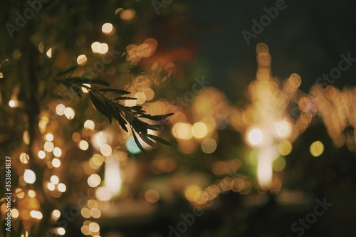 Close up shot of a tree leaves with bokeh lights at the park