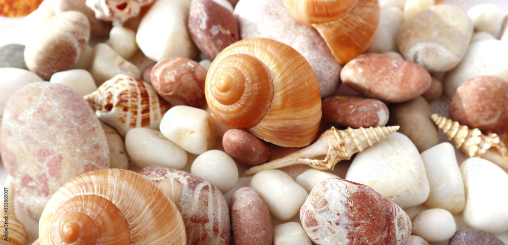 Seashells on the beach close-up, vacation memories. Background for postcards, summer concept.