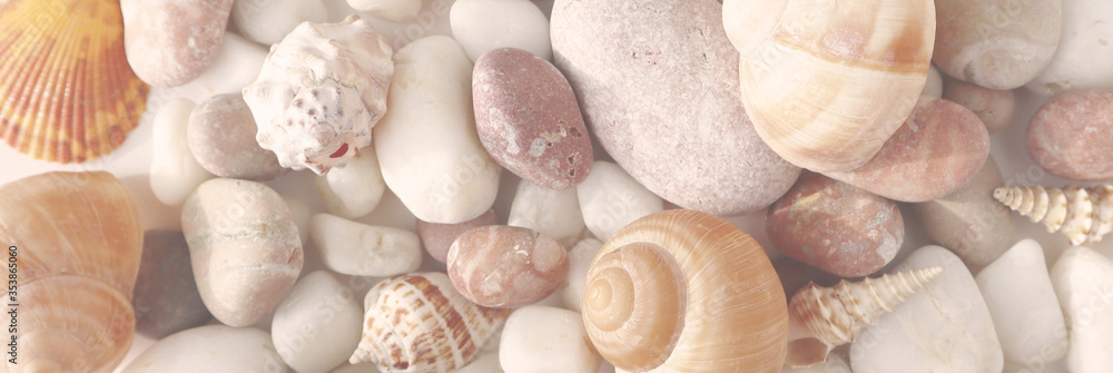 Seashells on the beach close-up, vacation memories. Background for postcards, summer concept. Banner.