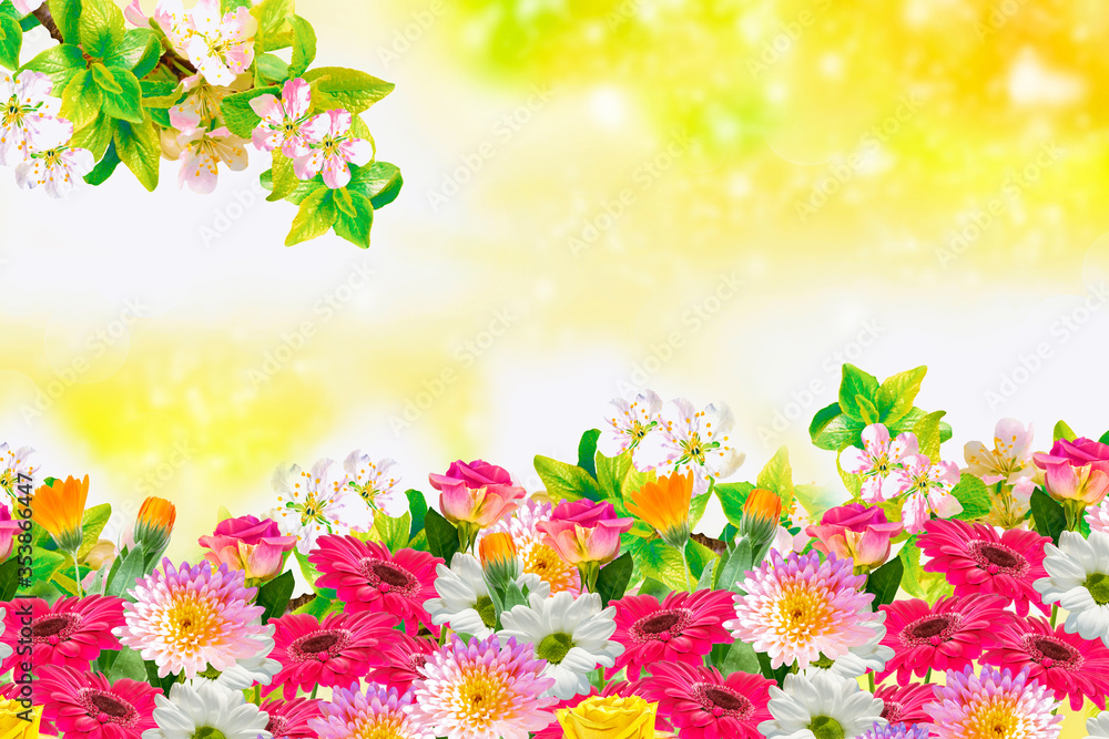 Blossoming branch apple. Bright colorful spring flowers Blossoming branch apple. Bright colorful spring flowers