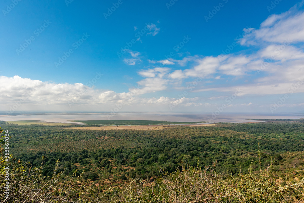 眼下に広がるタンザニアの原風景、広大な森と快晴の青空