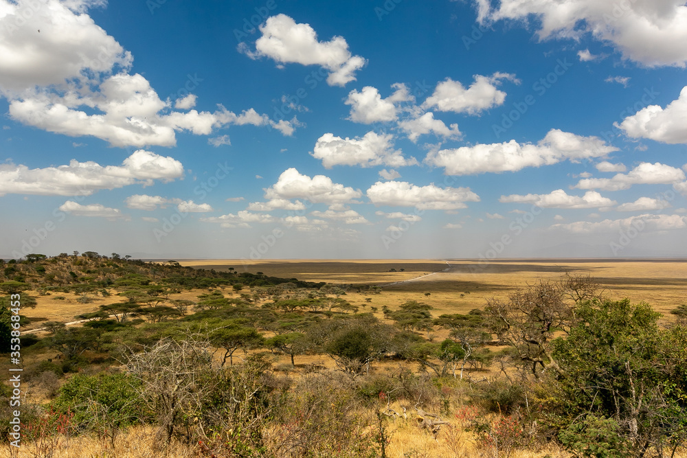 タンザニア・セレンゲティ国立公園入り口の丘から眺める、ンゴロンゴロ方面の平原と地平線・青空