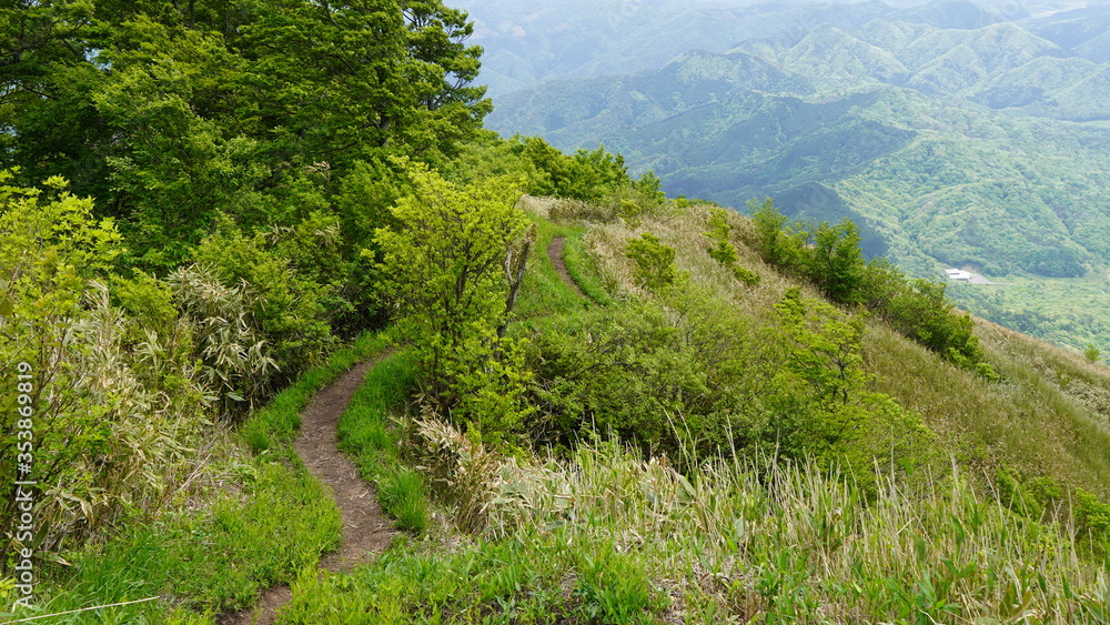 蒜山の山 下蒜山 蒜山の山 下蒜山