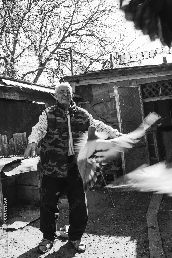 Obraz premium An elderly farmer is doing what he loves. Feeding pigeons. 