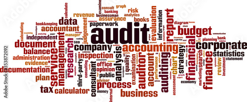 Audit word cloud