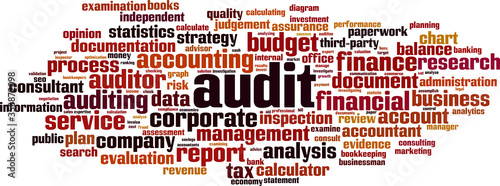 Audit word cloud