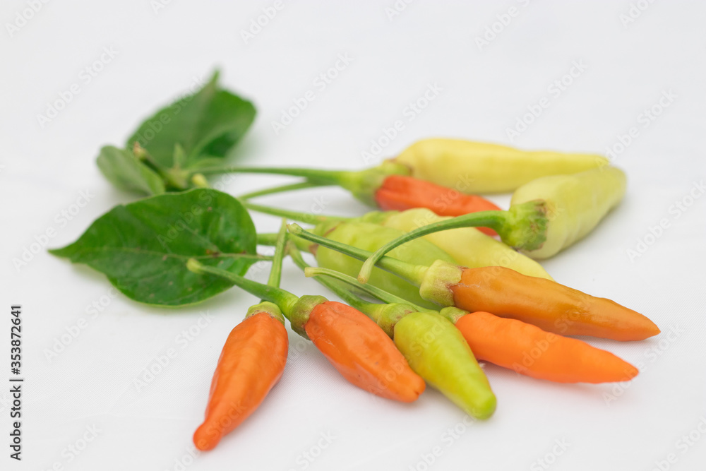 Green and red chilies with white background. Chillies, ingridient of Thai or asian food. Green and red chilies with white background. Chillies, ingridient of Thai or asian food.