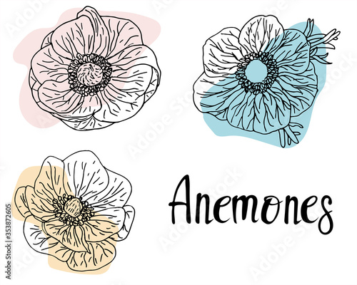 Carta da parati Hand drawn anemone flowers set in outline style