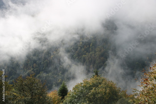 Nebel in den Bergen