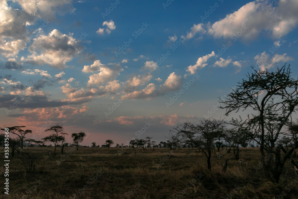 タンザニア・セレンゲティ国立公園でのサファリ中に見た、夕方の空と雲