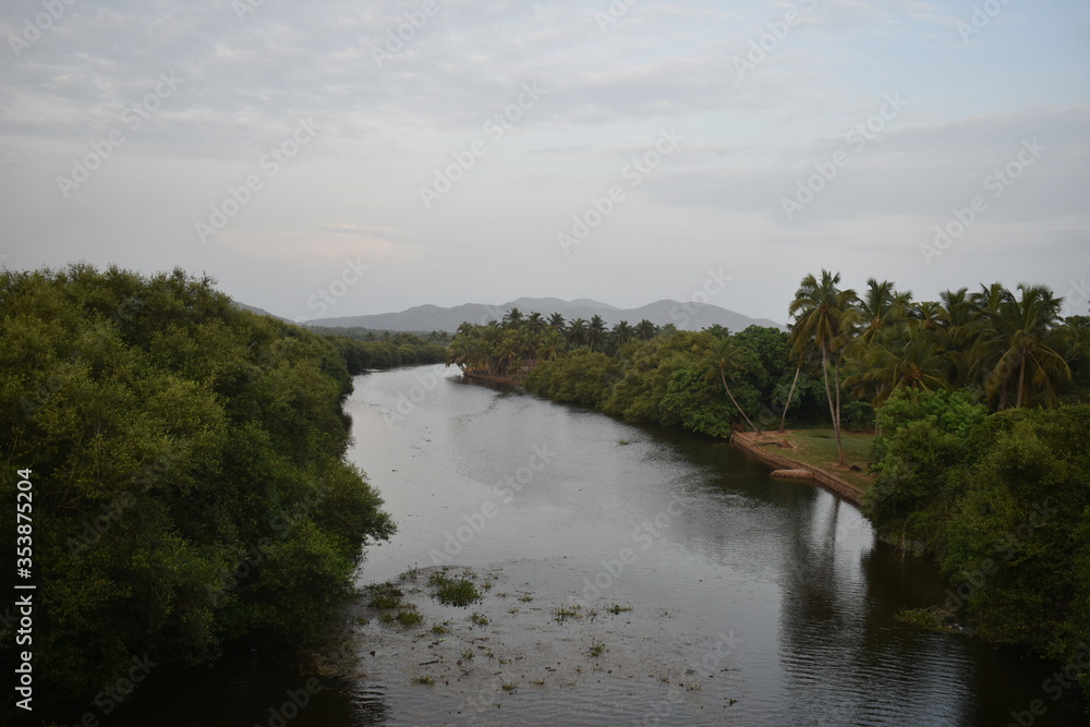 river in the forest with mountains in the background