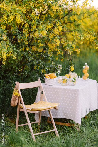 Picnic outdoors. Preparations for the picnic. Garden decoration with lemons and mint lemonade jar. Relax concept