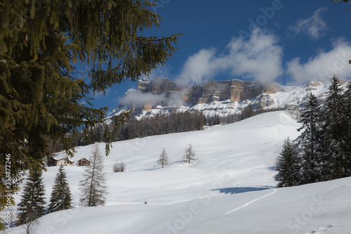Beautiful Day in the Mountains with Snow-covered Fir Trees and a Snowy Mountain Panorama