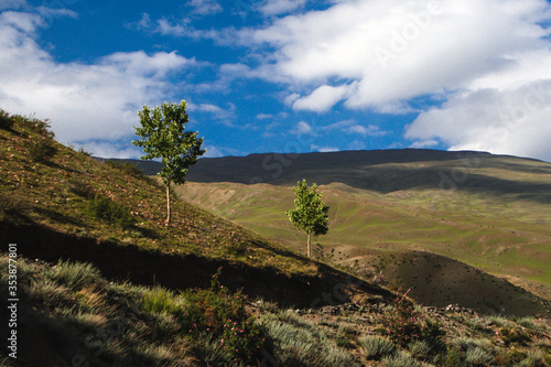 Nature landscape