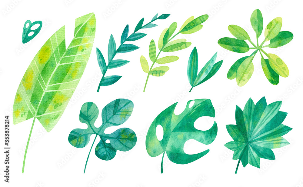 Tropical leaves mix watercolor illustrations set. Jungle watercolor drawings pack. Cartoon green cliparts on white background