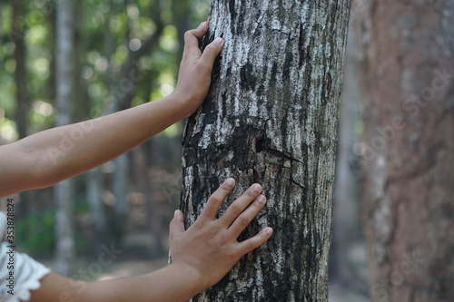 Human hands touch the bark of a tree, the concept of loving the world